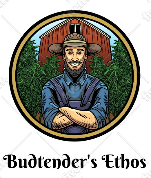 Frequently Encountered Issues