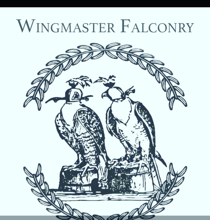 Bridging Traditions: Falconry and Cannabis Cultivation – A Model for Ecological&nbsp;Sustainability