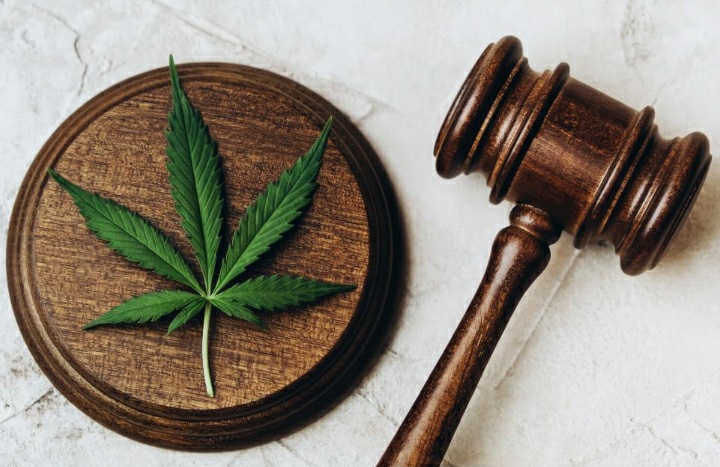 Legalization and Descheduling of Cannabis: Not What You&nbsp;Think