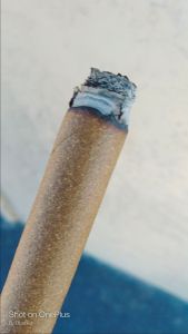 2-Gram Bleeze Image of a blunt from LA Kush. Highlights the layering of ash on blunts and joints.