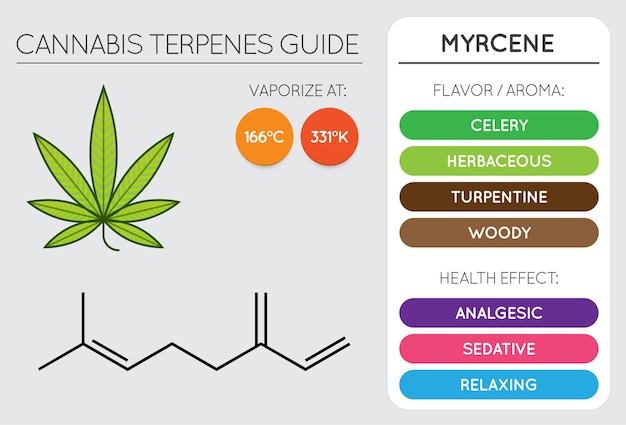 Myrcene: The Sleepy, Sedative Terpene&nbsp;Powerhouse